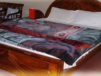 Hotel Raunak International offers