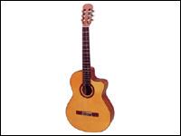 Sunny Musical Emporium offers
