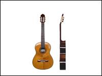 Chopra Musical Gallery offers
