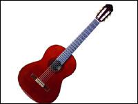 Arvind Musical Emporium offers