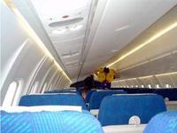 Radiant Aviation Services Pvt Ltd offers