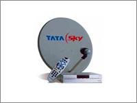 Shreeji Marketing offers