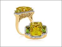 Bhagwati Jewellers offers