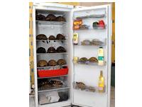 Goyal Electronics and Fancy Furniture offers