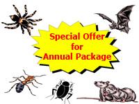 Pestache Pest Control Services offers