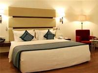 Minerva Grand offers