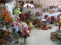 Riddhi's Aesthetics 0 sales India