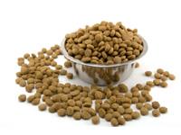 Shree Kennels 0 sales India