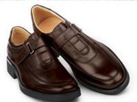 Sahyadri Footwear 0 sales India