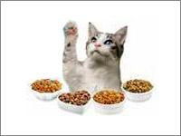 Khushi Pets World 0 sales India