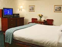 Hotel Lohias 0 sales India