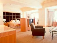 Hotel Ravin 0 sales India