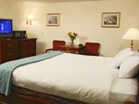Sara Hotel & Resorts 0 sales India