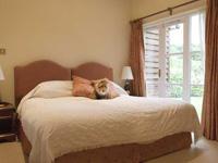 New Sonu Tour & Travels 0 sales India