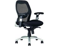 Entity 0 sales India