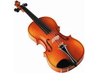 New Music Palace 0 sales India