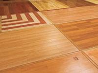 Ebaco India 0 sales India