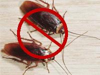Panama pest control Company 0 sales India