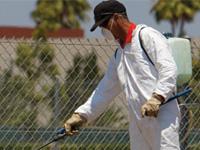 Arvind Pest Control Services 0 sales India