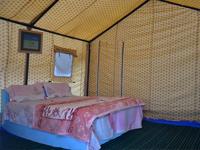 Fly India Adventure 0 sales India