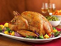 Meluha The Fern - Tiara 0 sales India