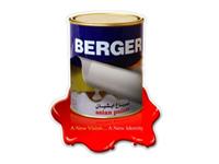 Rajasthan Paint House coupons