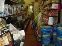 Shree Kennels coupons
