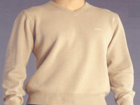 Levis Strauss & Co coupons