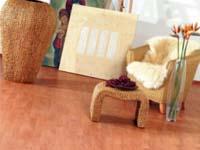 Ebaco India coupons