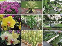 Plants World coupons