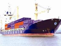 Professional Packers  & Movers coupons