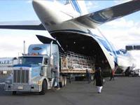 Veena Packers & Movers coupons
