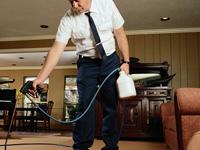 Arvind Pest Control Services coupons