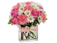 Country Oven coupons