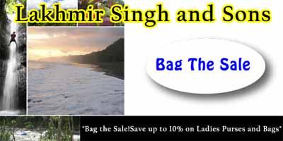 Lakhmir Singh and Sons offers India