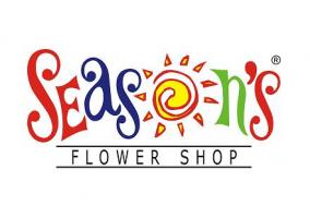 Seasons in Ahmedabad