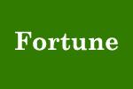 Fortune Car Finance