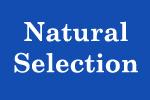 Natural Selection India