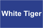 White Tiger